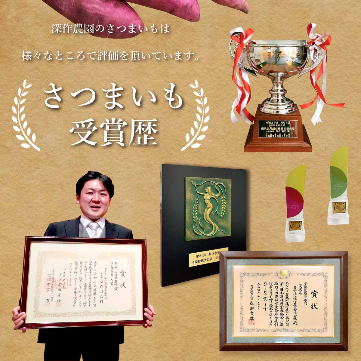 干し芋、ほしいも、干しいも、平干し、丸干し、スティック、角切り