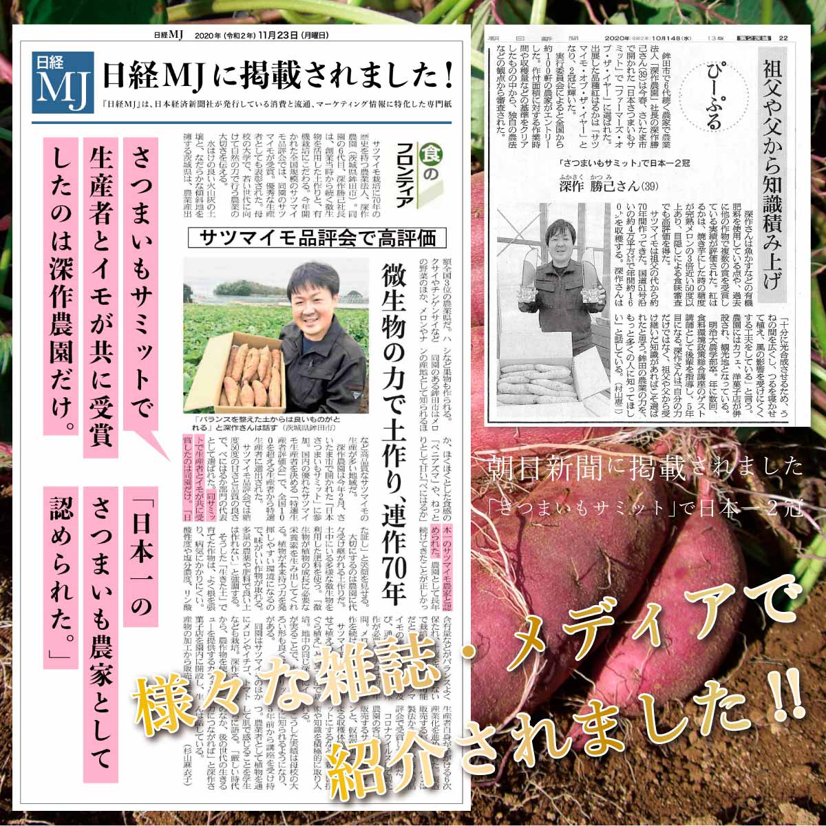 干し芋、ほしいも、干しいも、平干し、丸干し、スティック、角切り