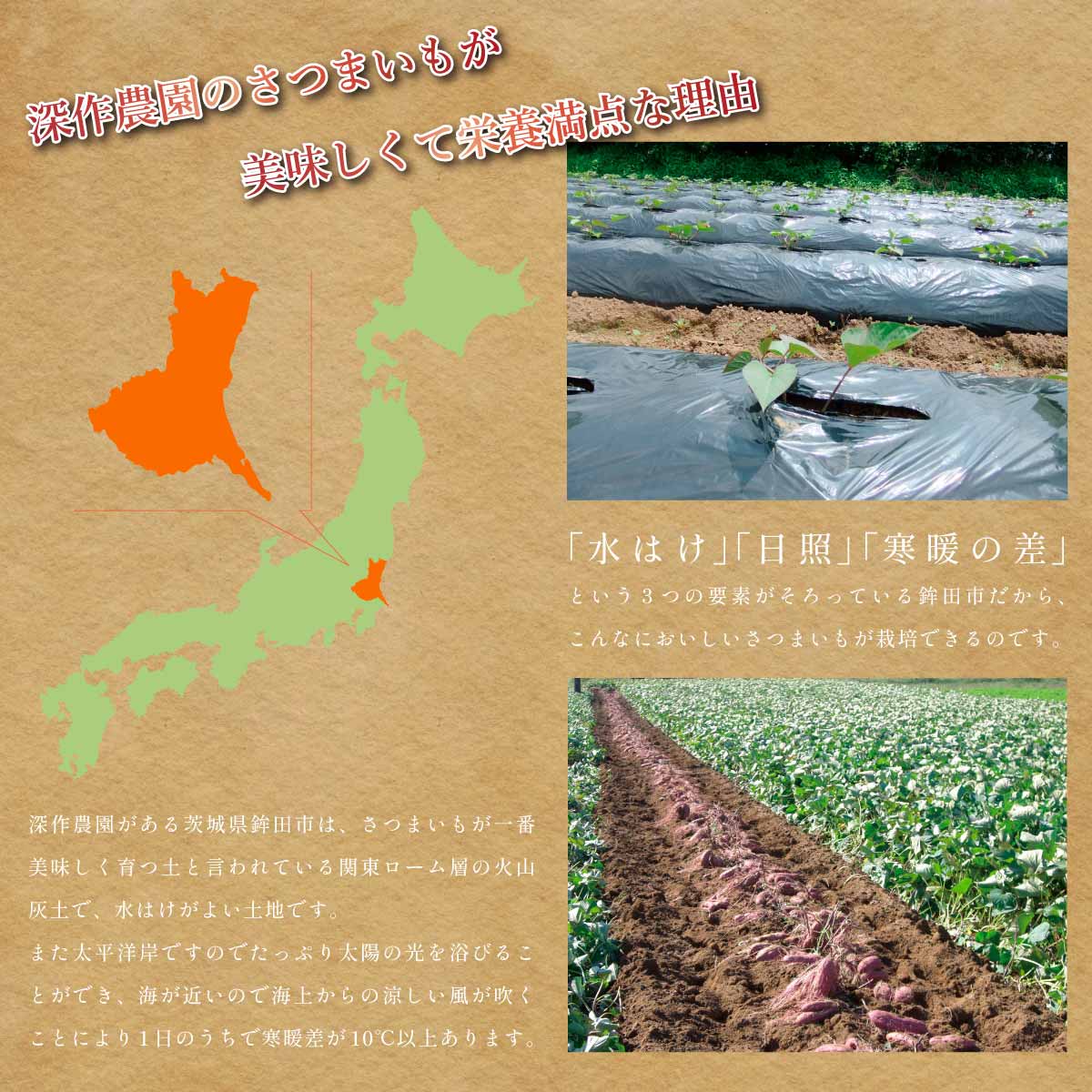 干し芋、ほしいも、干しいも、平干し、丸干し、スティック、角切り