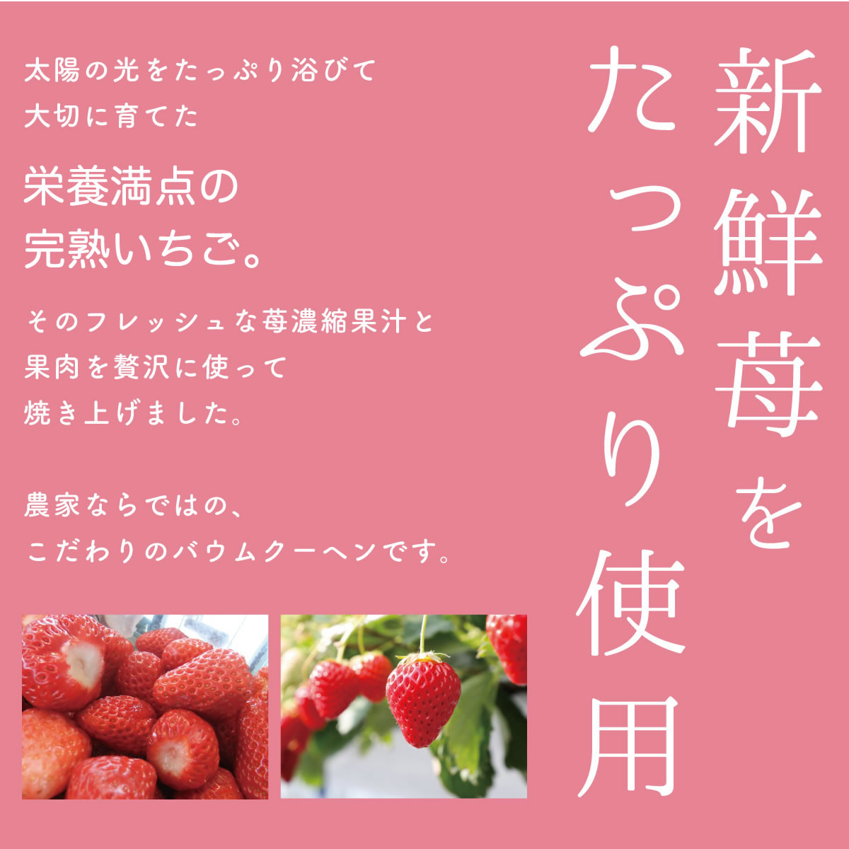 ファームクーヘン