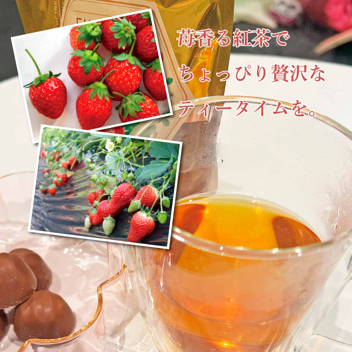 茨城県 鉾田 いちご 紅茶