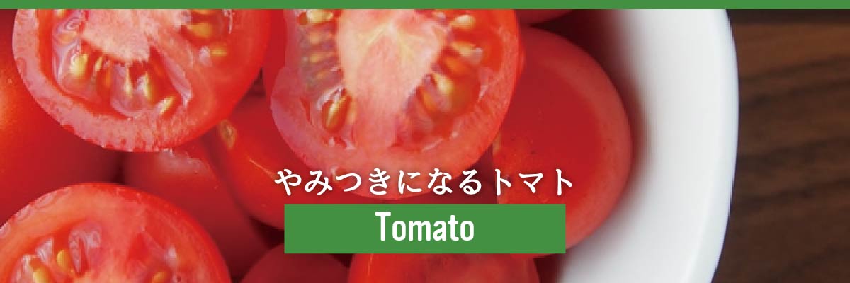 トマト-フルーツトマト