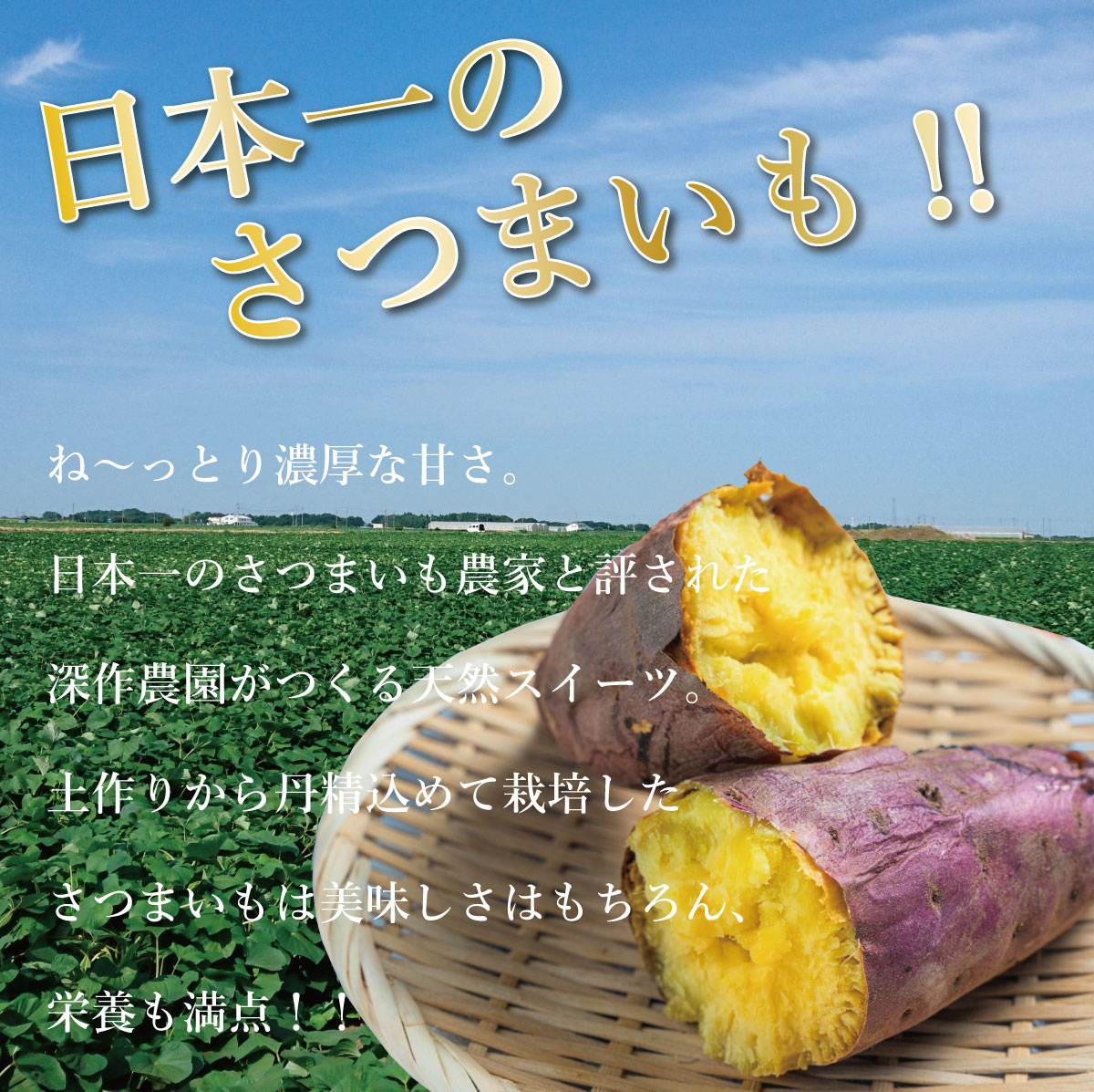 国産 茨城県 鉾田市 べにはるか 紅はるか 焼き芋 さつまいも
