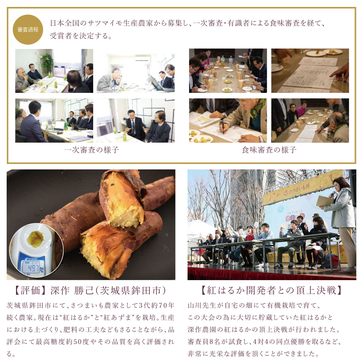 国産 茨城県 鉾田市 べにはるか 紅はるか 焼き芋 さつまいも