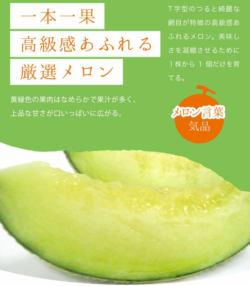 メロンさん専用 アムさんDX（品種：ユウカ）』青森県産 つがりあんメロン 秀品 5