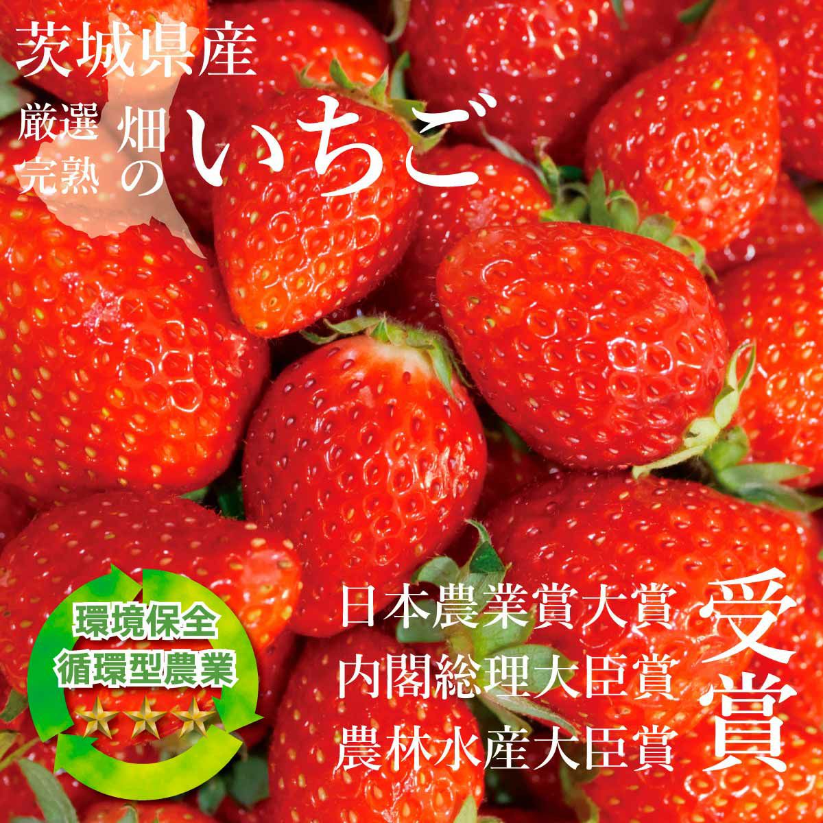 ひな苺 | 深作農園