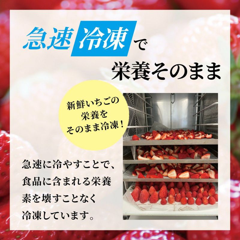 冷凍 いちご 2kg 【クール冷凍便でお届け】 アイス・かき氷に