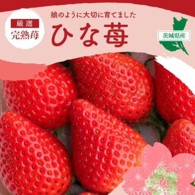 000000000201-01-m.jpg?t=