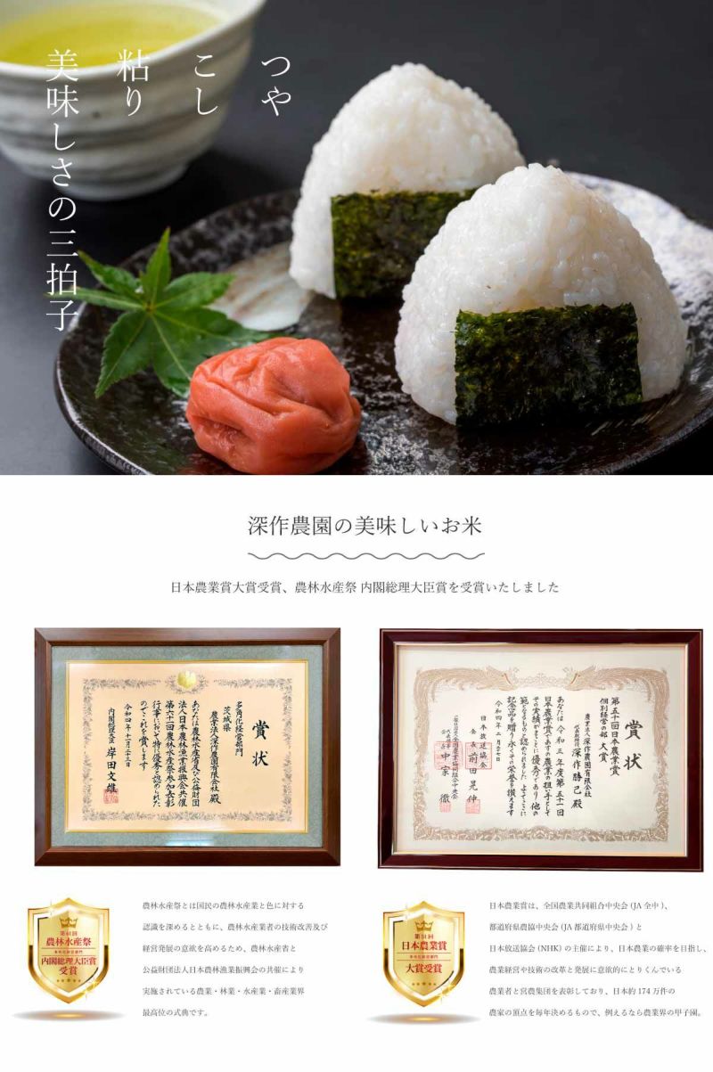 白米15kg 【令和7年新米/2025年秋収穫】 深作農園 米 コシヒカリ 白米